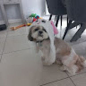 Meet your Posher, Charley